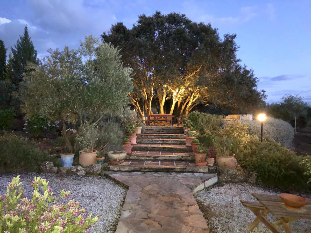 Refugio Andaluz Con Piscina Entre Olivos Villanueva de Tapia Exterior foto