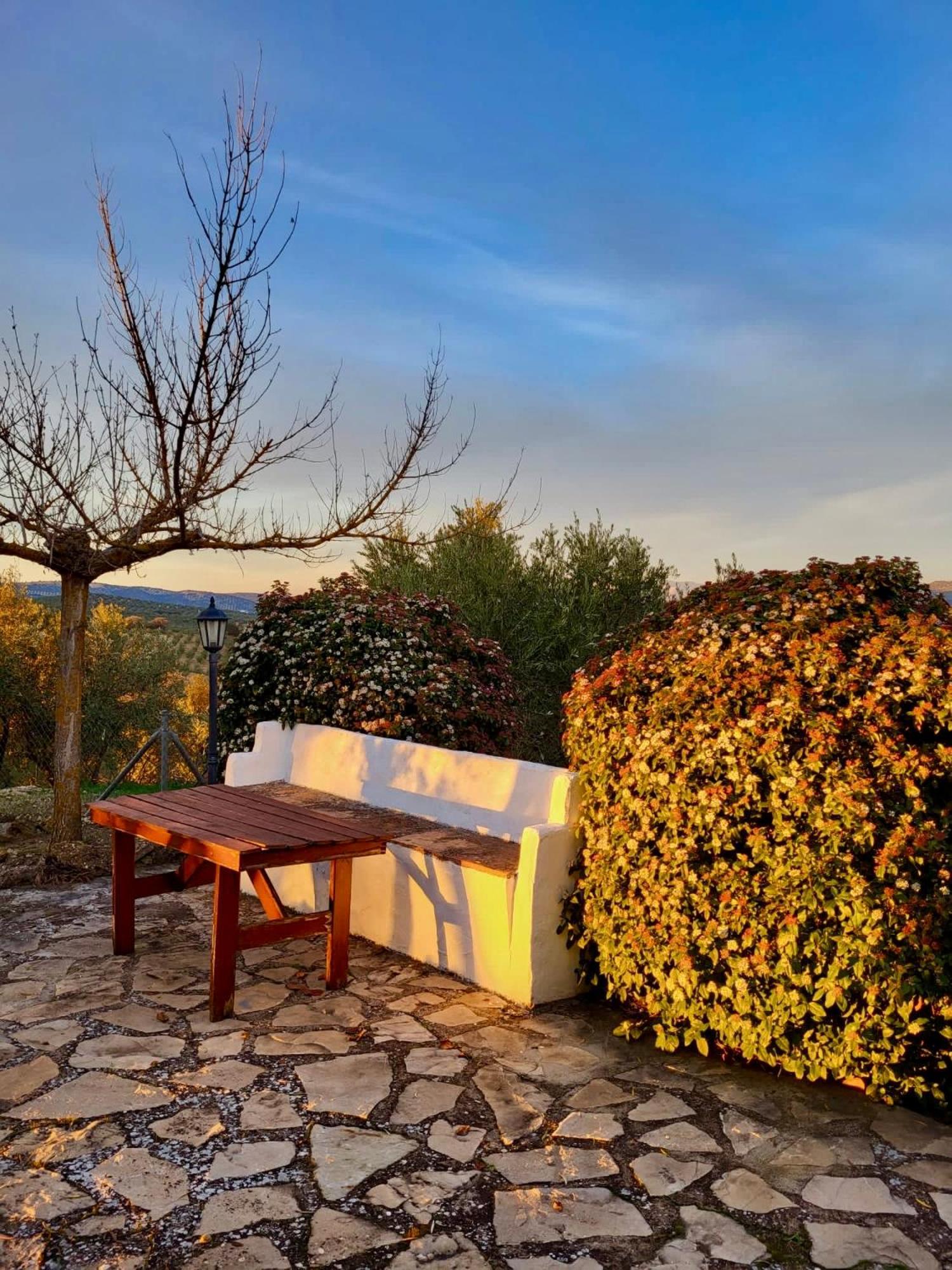 Refugio Andaluz Con Piscina Entre Olivos Villanueva de Tapia Exterior foto